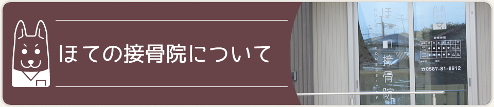 ほての接骨院について